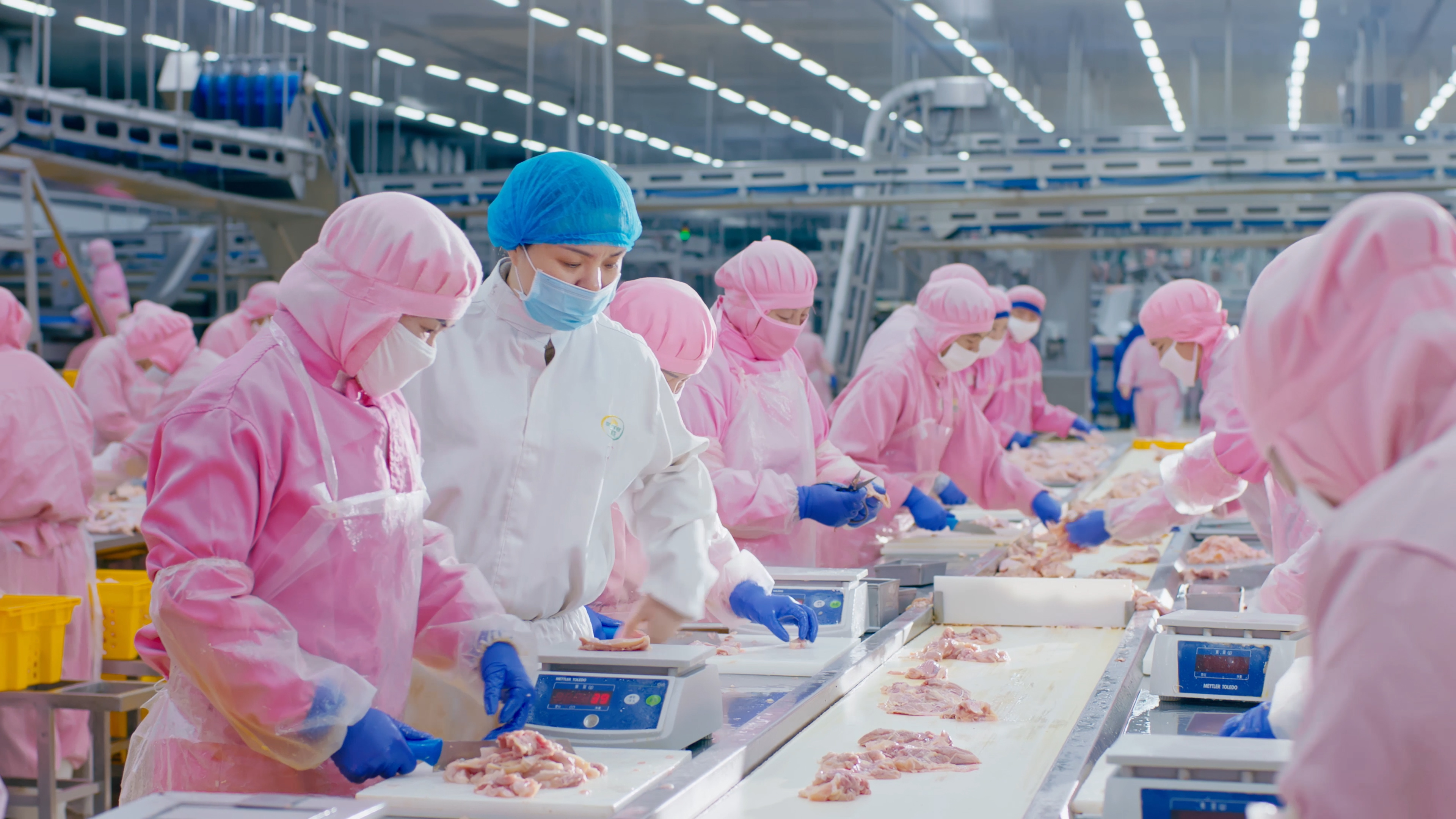 以人为本，携手员工共同成长